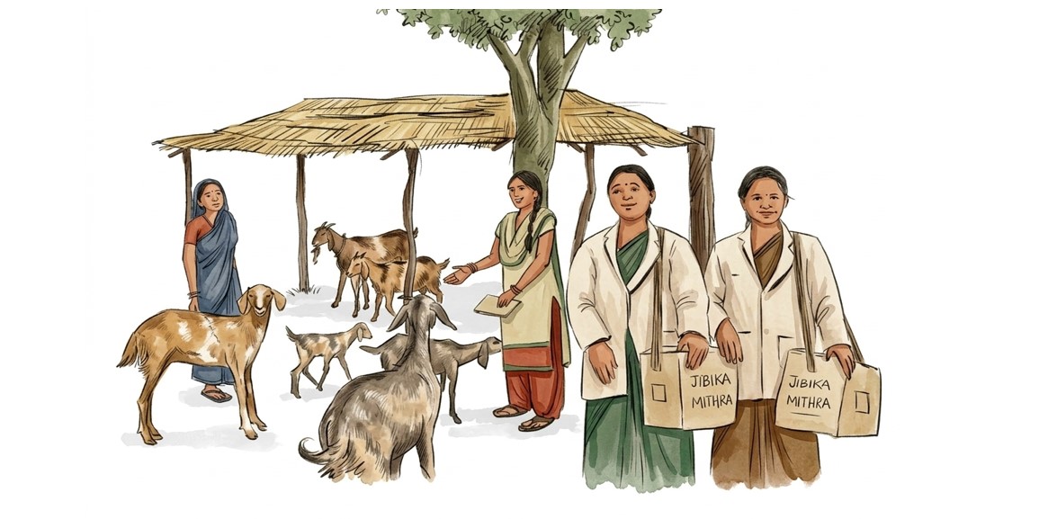 Income and livelihood